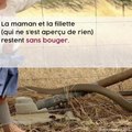 Accident : cette petite fille a échappé au pire face à un serpent !