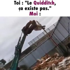 Voici la preuve que le quidditch existe !