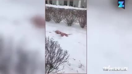 Nager dans la poudreuse, le nouveau sport à la mode