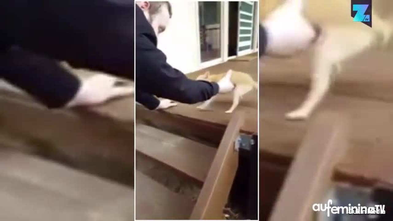 Quelle façon étrange de descendre les escaliers !