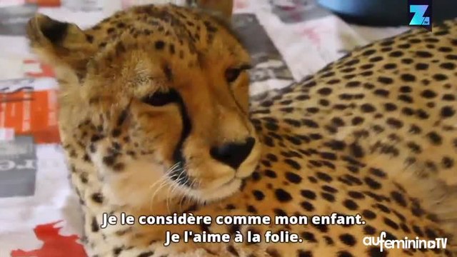 Ces animaux de compagnie vont vous surprendre
