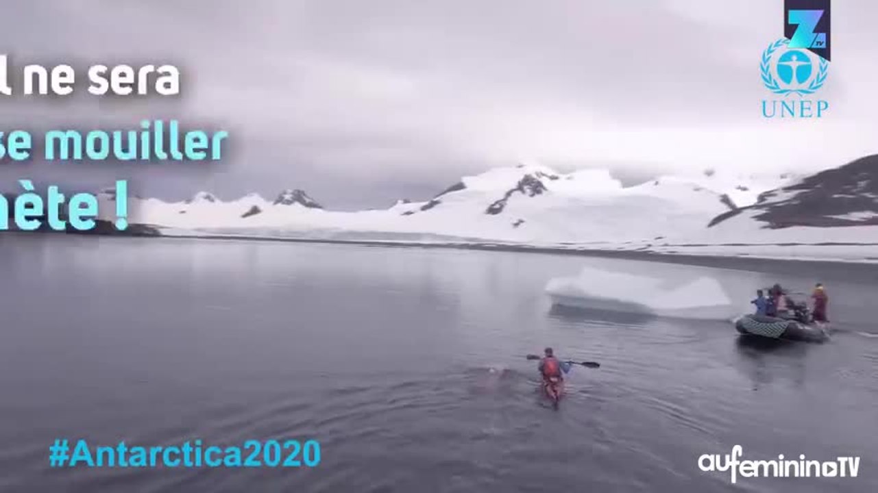 Voilà pourquoi on l’appelle ’l’ours polaire anglais’ !