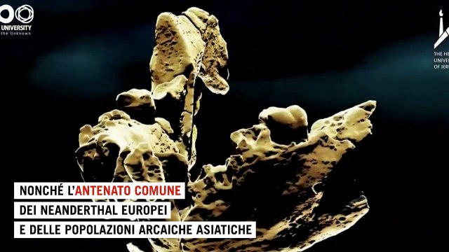 Scoperta una nuova specie di Homo arcaico: Potrebbe riscrivere la storia dell'evoluzione umana