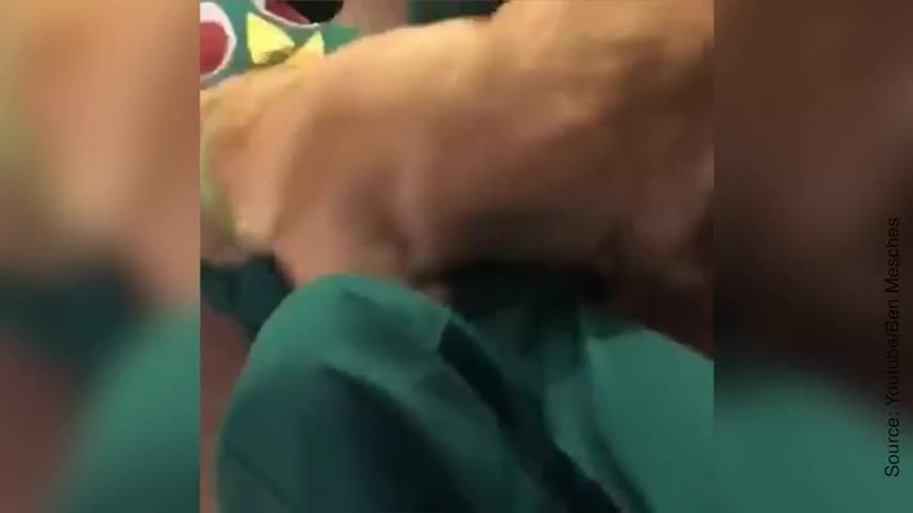Ce chien a trouvé son jouet préféré