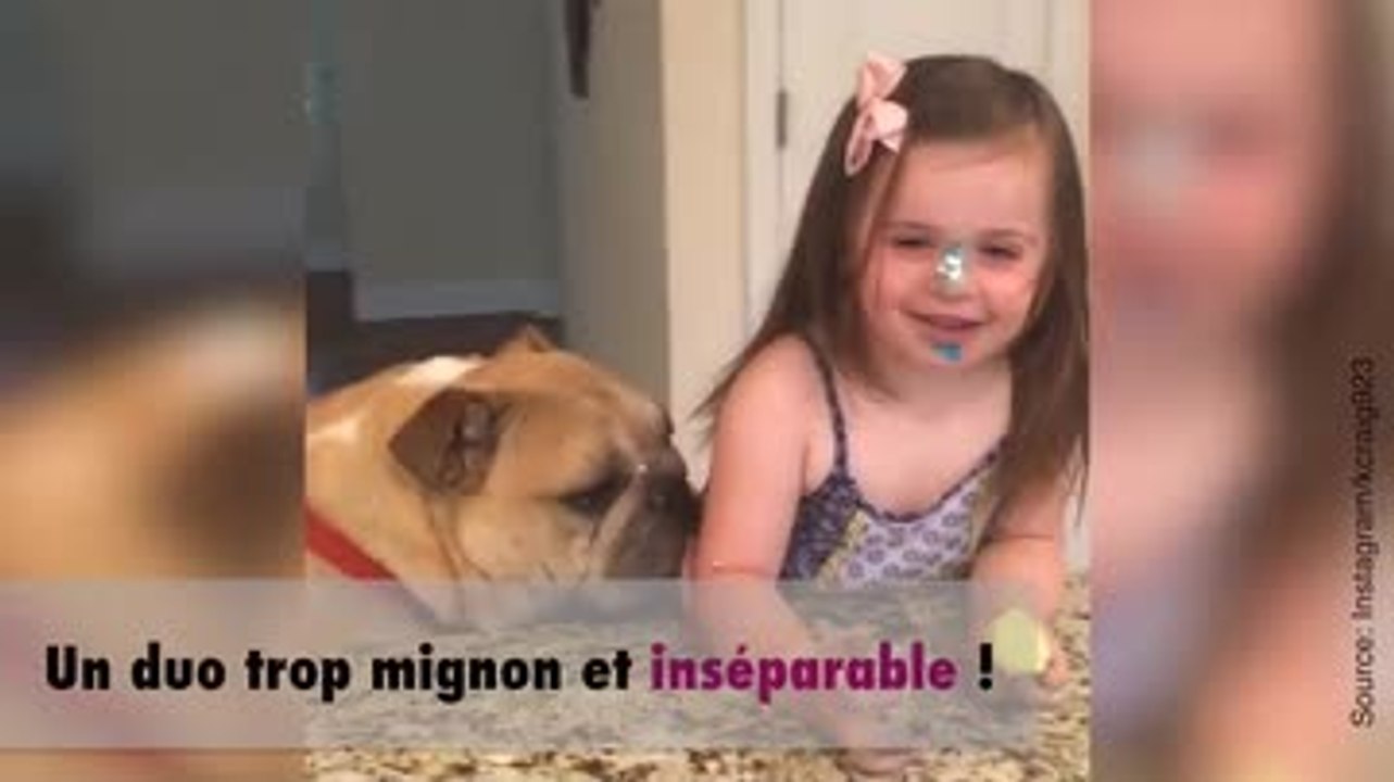 Erin et son bulldog : une véritable histoire d'...