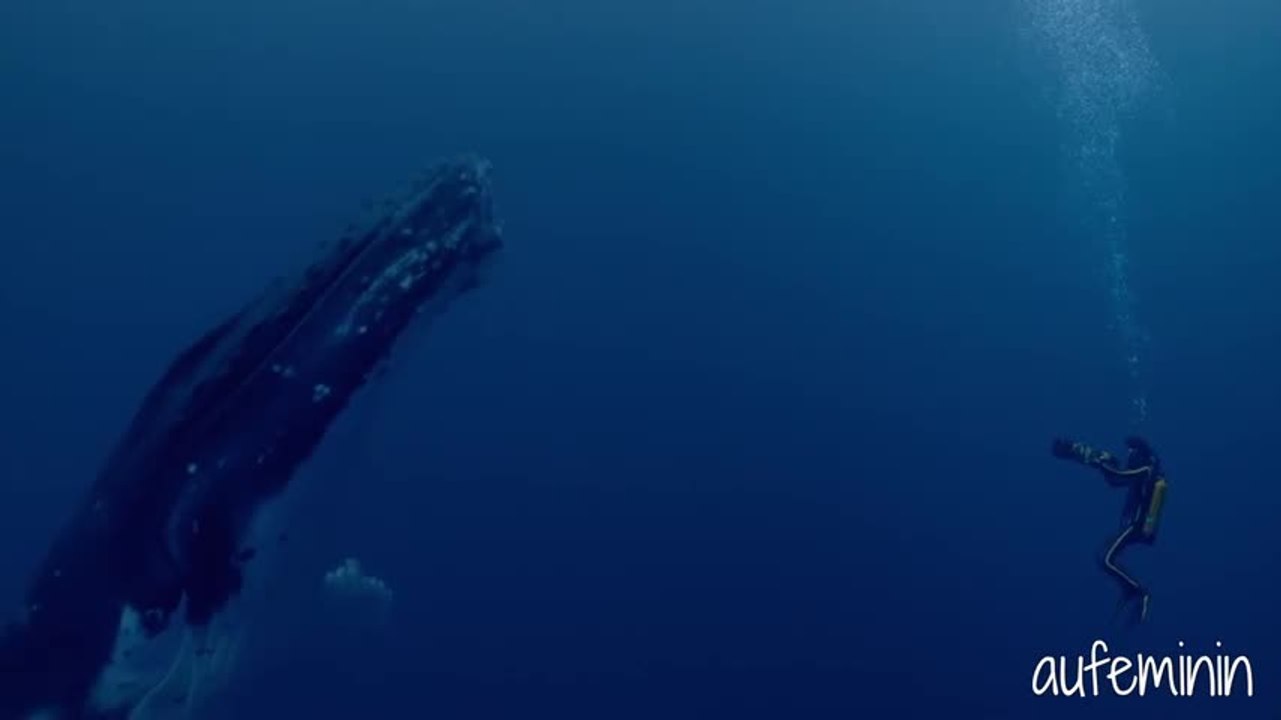 Audrey Tautou nous parle du film "L'Odyssée"