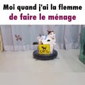 Ce chat a la flemme de faire le ménage