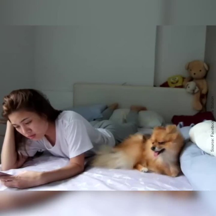 Un chien veut des caresses et sa maîtresse craque