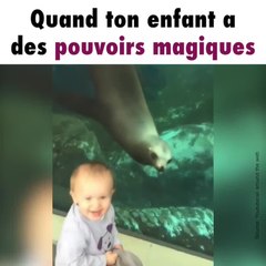 Un enfant joue avec une otarie