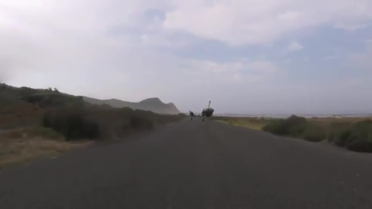 Cyclistes vs Autruche