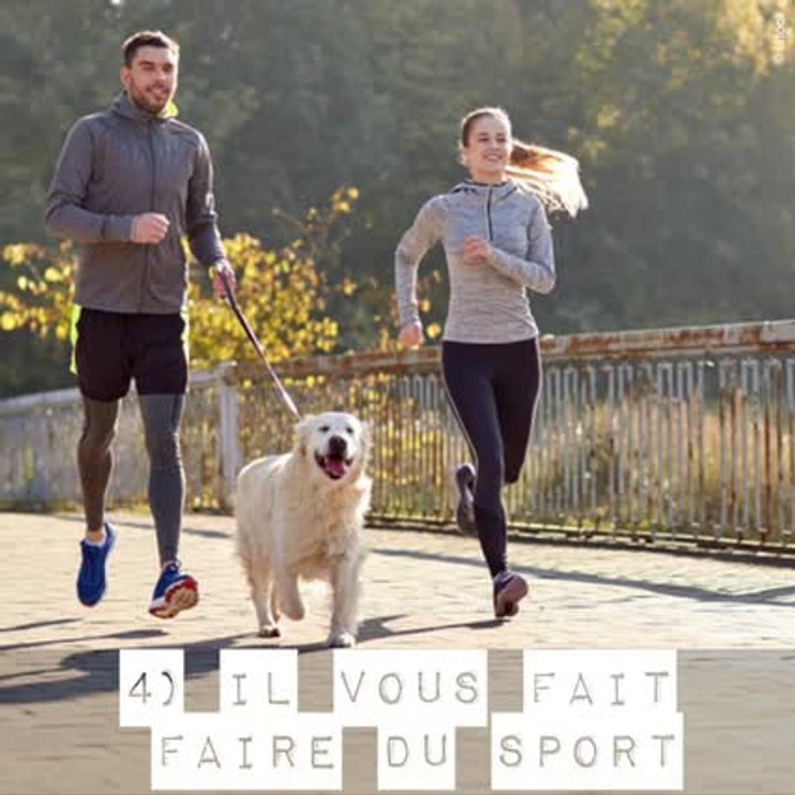 8 raisons d'adopter un chien