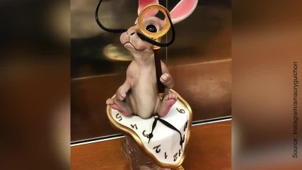 De superbes gâteaux