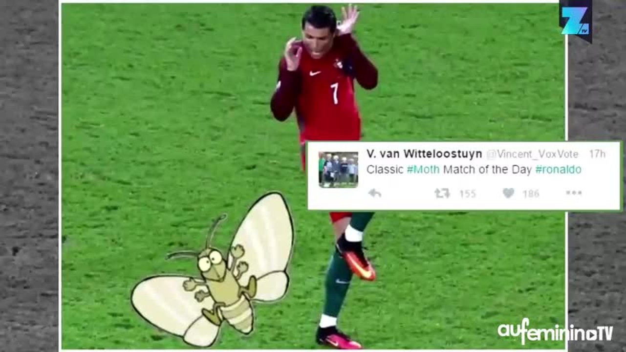 Cristiano Ronaldo, sauvé par un papillon de nuit !