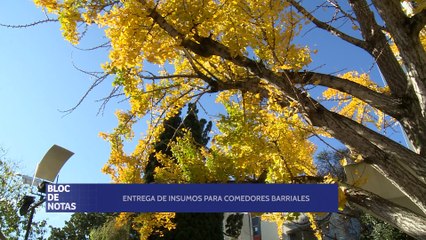 Entrega de insumos para Comedores Barriales