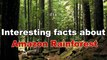 अमेज़न जंगल के कुछ रहस्य जो आपको कर दें हैरान [Interesting facts about Amazon Rainforest]