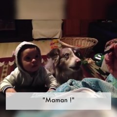 Un chien dit Maman pour avoir à manger
