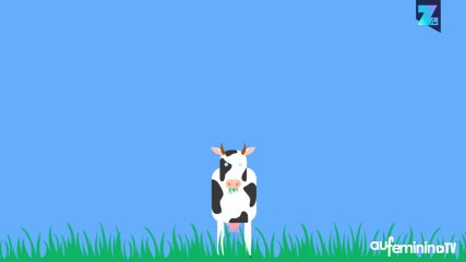 Pourquoi les Hollandais sont-ils si grands