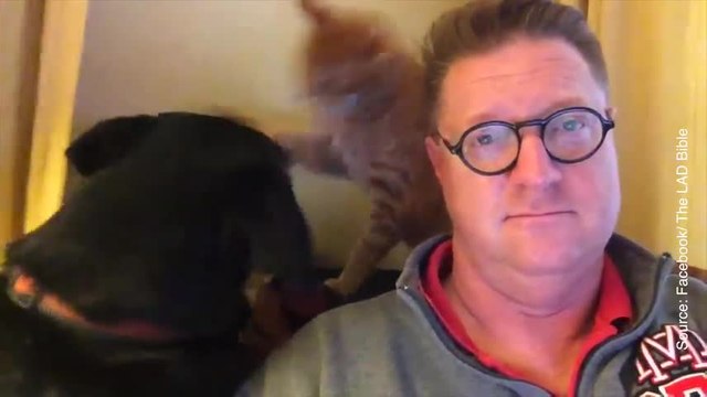 Cet homme voulait simplement un peu de calme…