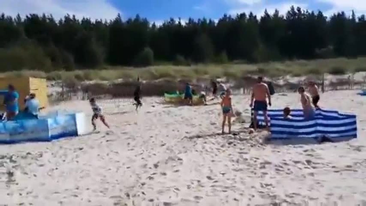 Ce sanglier sème la pagaille sur une plage