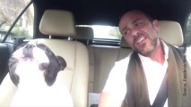 FR_dog-sings-with-owner-in-the-car