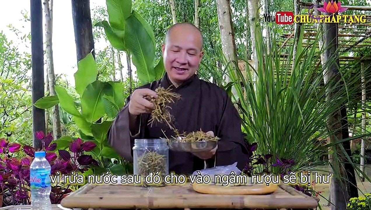Bài Thuốc Trị Viêm Xoang, Viêm Mũi Dị Ứng Cho Trẻ Em Và Người Lớn  Gs. L.y. Thich Tri Hue