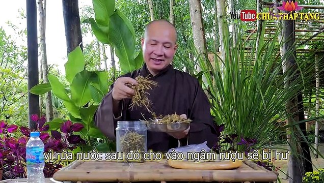 Bài Thuốc Trị Viêm Xoang, Viêm Mũi Dị Ứng Cho Trẻ Em Và Người Lớn Gs. L.y. Thich Tri Hue