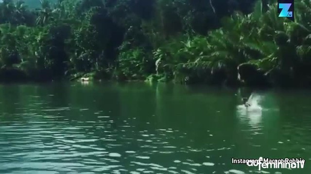 Ce que vous ne saviez pas sur Margot Robbie !