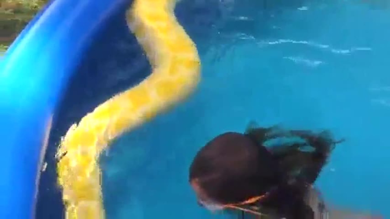 Une fillette nage avec un serpent