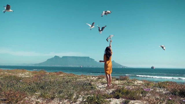 video_lovely_moments .birds flying Sky grils love for birds