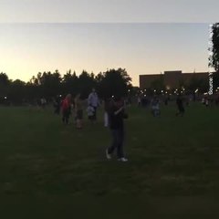 Pokemon Go : chasse dans le parc de Bellevue