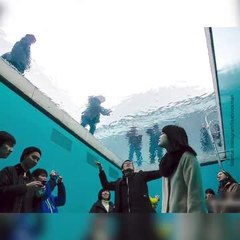 Cette fausse piscine est une oeuvre d'art