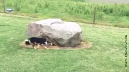 Course poursuite autour d’un rocher…