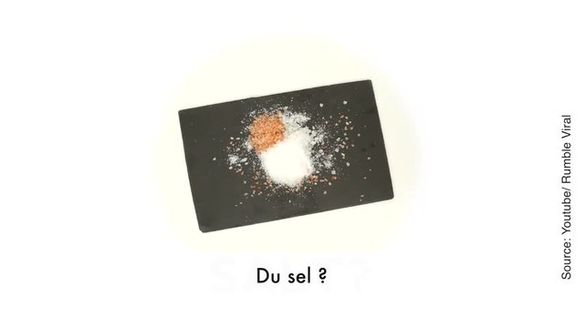 Savez-vous vraiment ce qu’un chien peut manger ou non