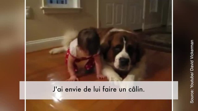 Ce bébé n'en a jamais assez de Lucy, le chien de la maison