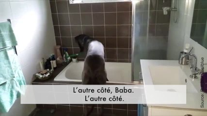 En voilà un qui a hâte de prendre son bain !