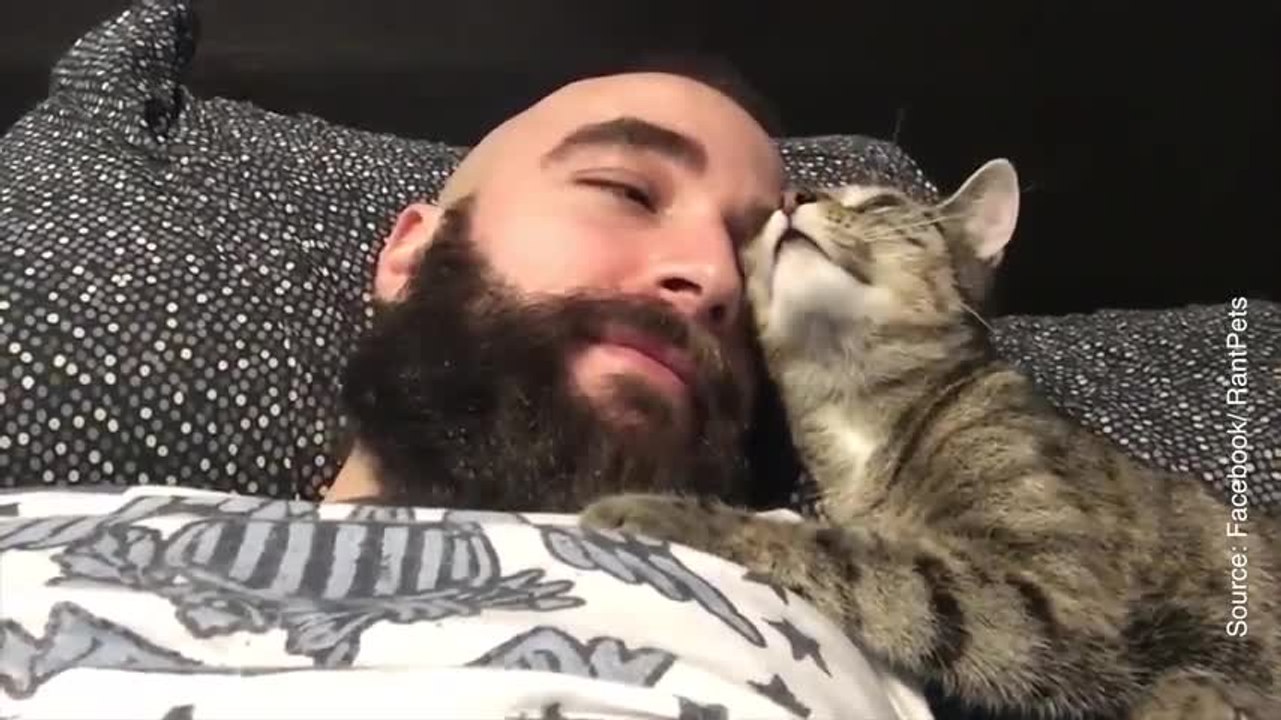 Moment de tendresse entre ce chat et son maître