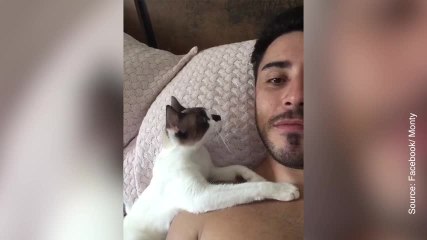 Embrasse-moi ! Ce petit chat ne se lasse pas de son maître