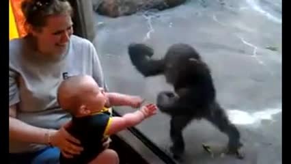 Face à face un enfant et un bébé singe