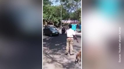 Beau moment de solidarité : un policier aide un chien à traverser