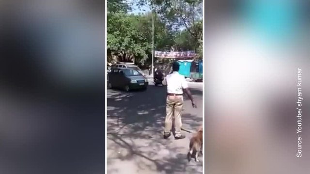 Beau moment de solidarité : un policier aide un chien à traverser