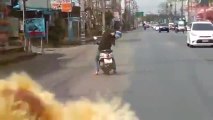 Un homme s’endort à scooter