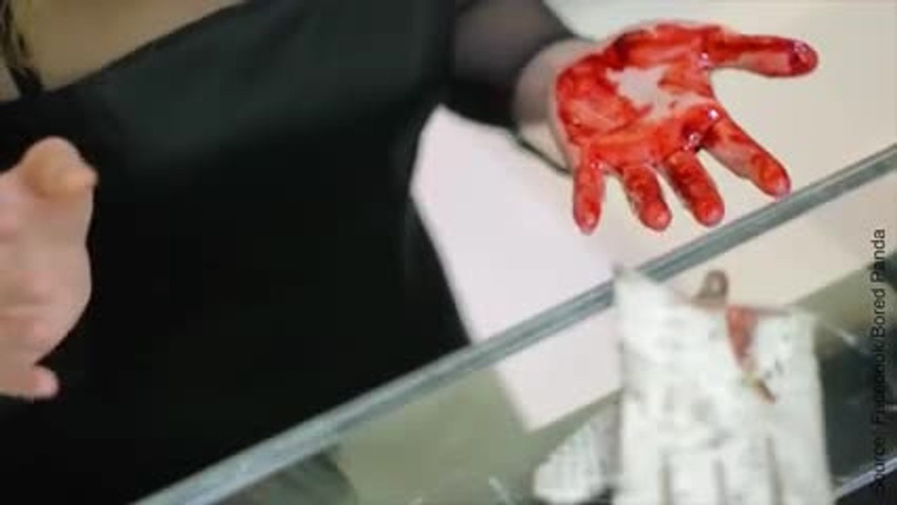 Un spot publicitaire choc contre les violences envers les animaux