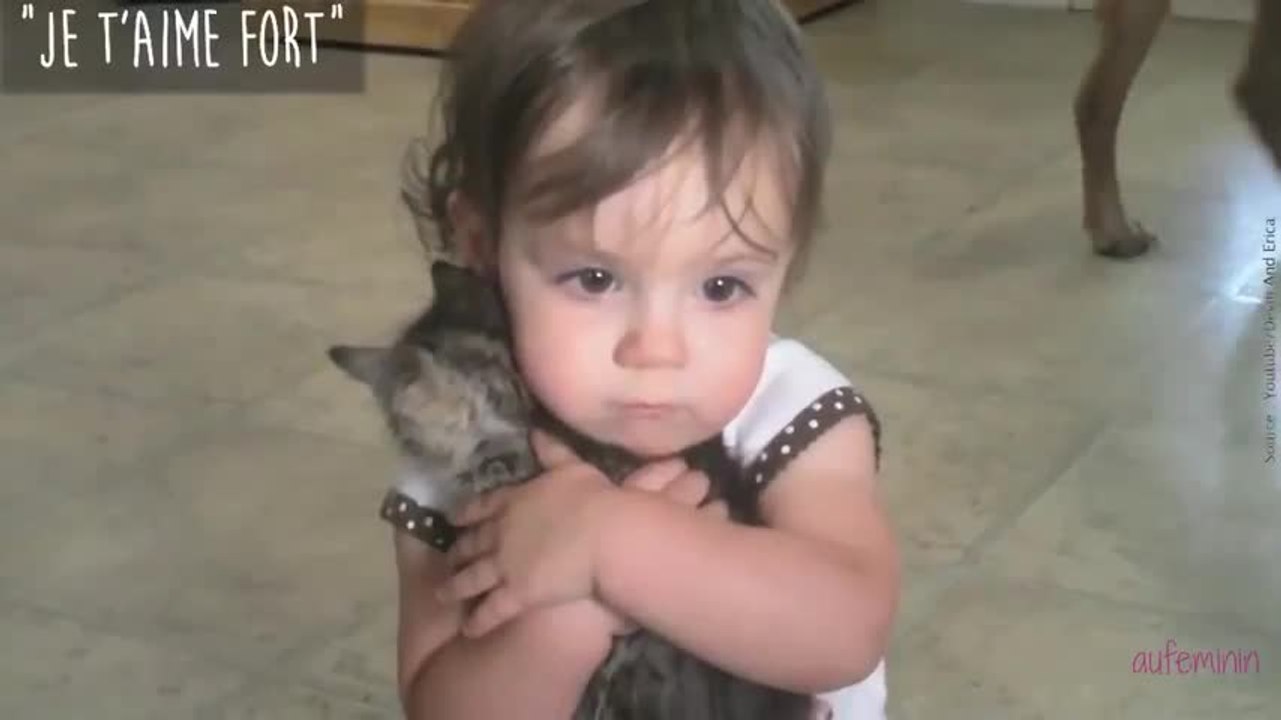 Bébés et chatons (Vidéo)