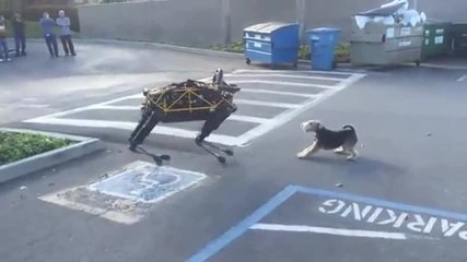 Un chien s’amuse avec un robot.