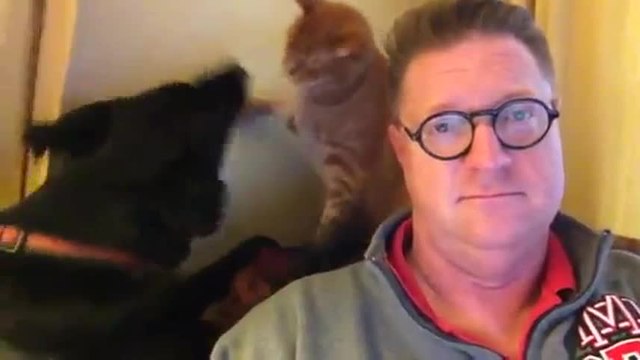 Un chien et un chat sont meilleurs amis