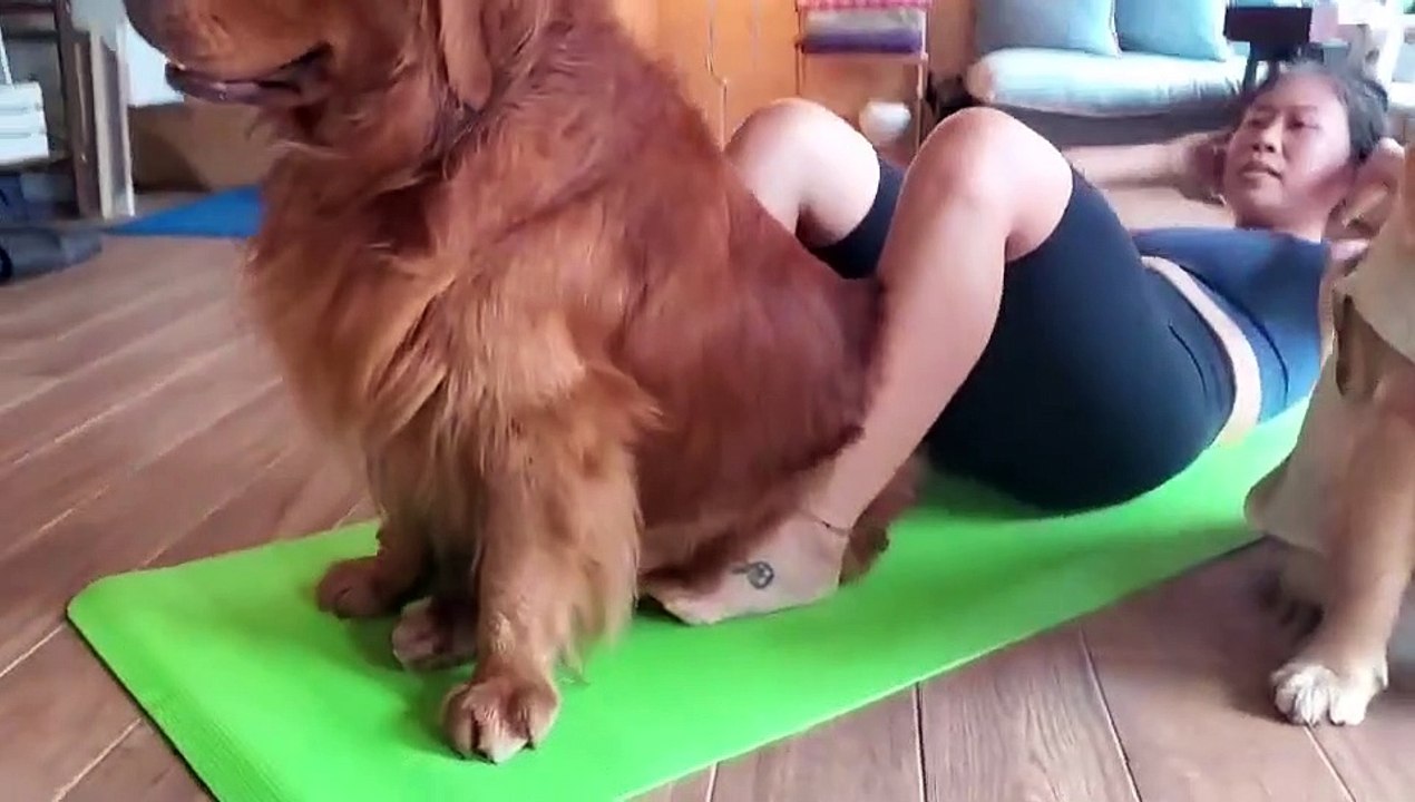 Big Happy Dogs Help Out With Workout