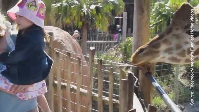 18 éternuements à mourir de rire !