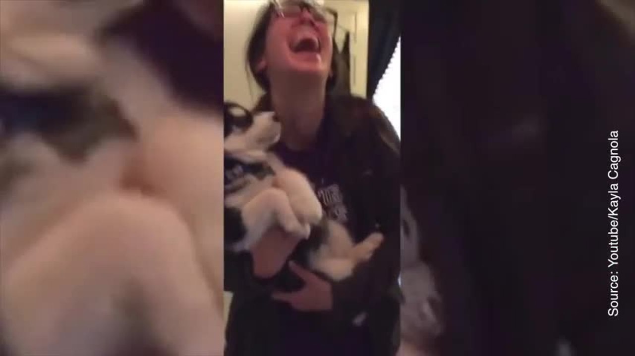 Les bruits que fait ce chiot sont adorables !