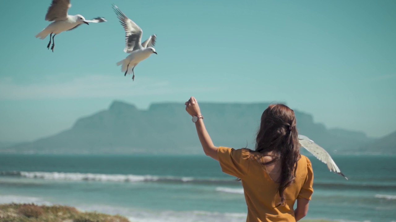 Video Lovely Momeent Birds Flying Sky Girls Love for Birds