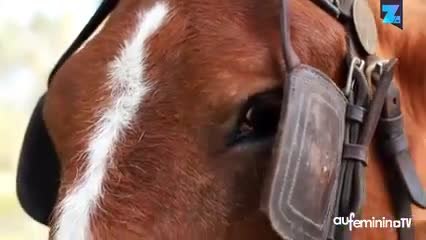 Une commune remplace le camion-poubelle par une calèche
